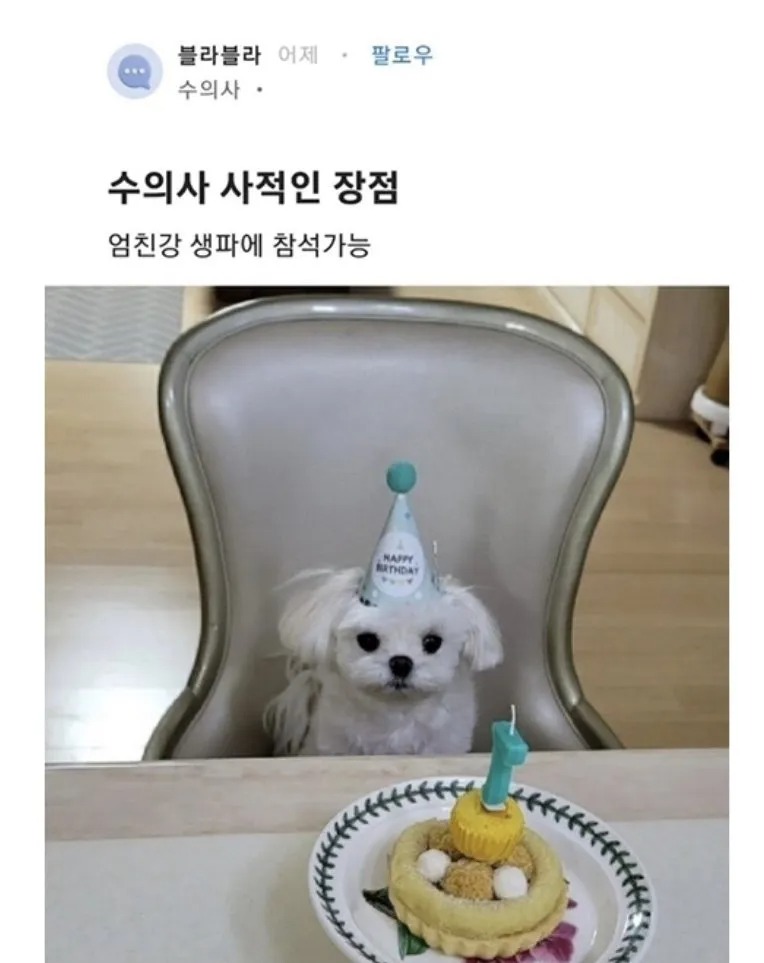 수의사의 사적인 장점