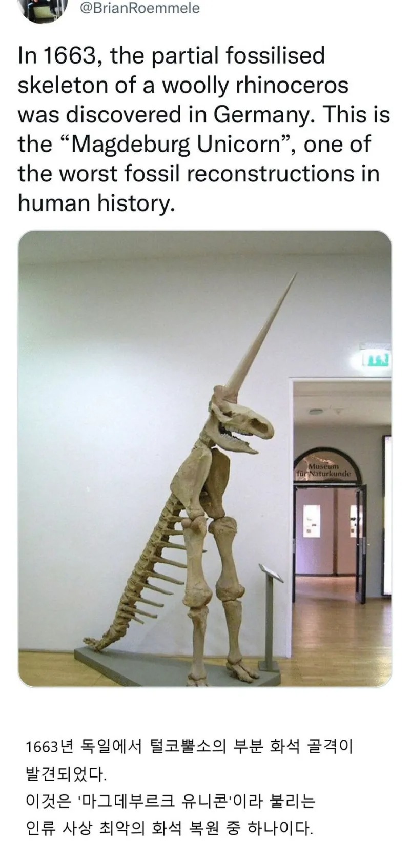 인류 최악의 화석 복원