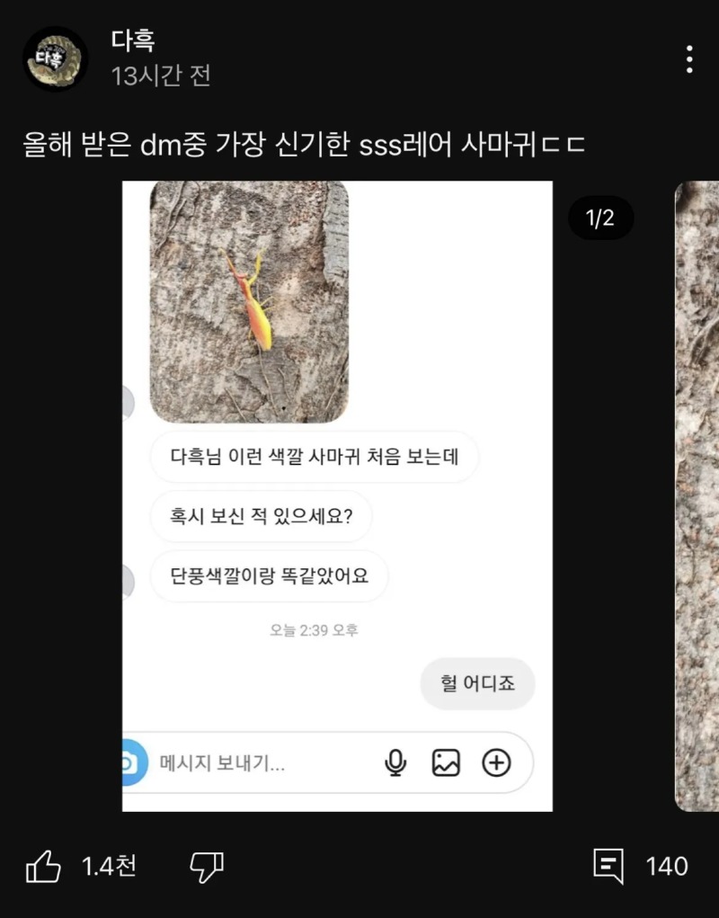 초 희귀 곤충을 제보받은 유튜버 