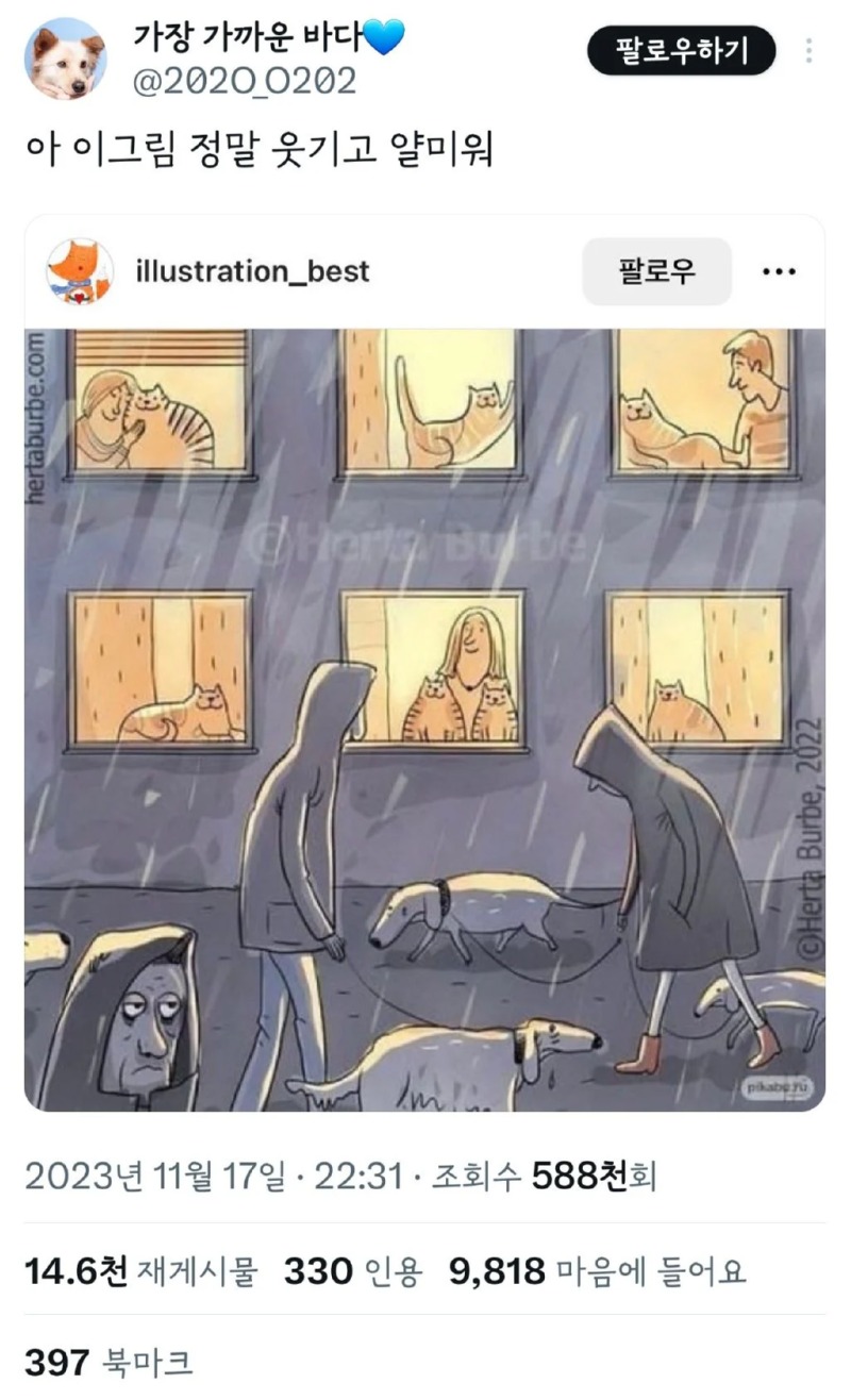 강아지 집사 염장지르는 짤 