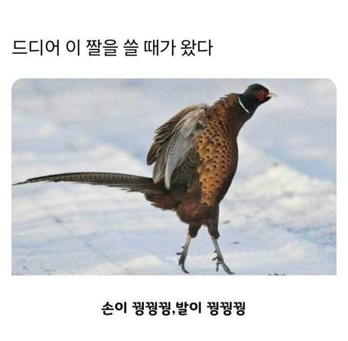 오늘 날씨 근황