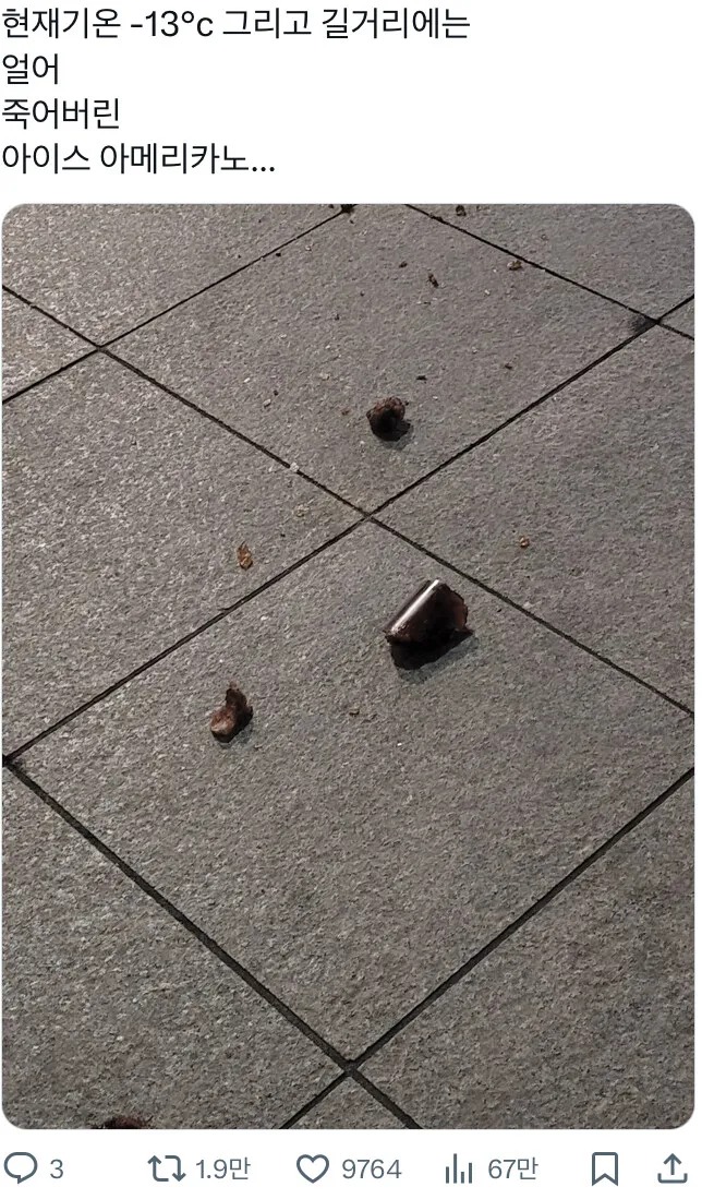 추운 겨울, 얼죽아 회원의 최후..