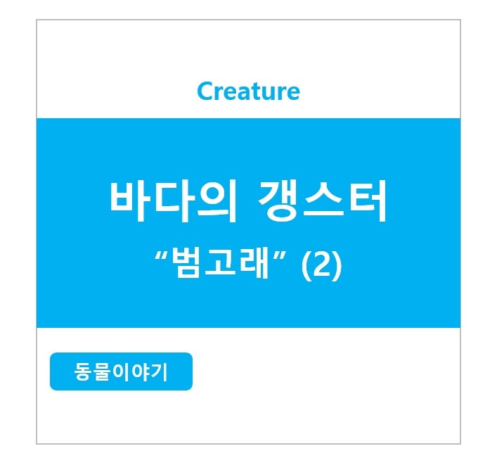 바다의 갱스터 - 범고래(2)