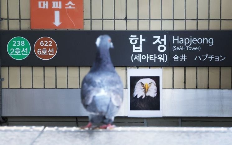 합정역 비둘기 방지 근황 
