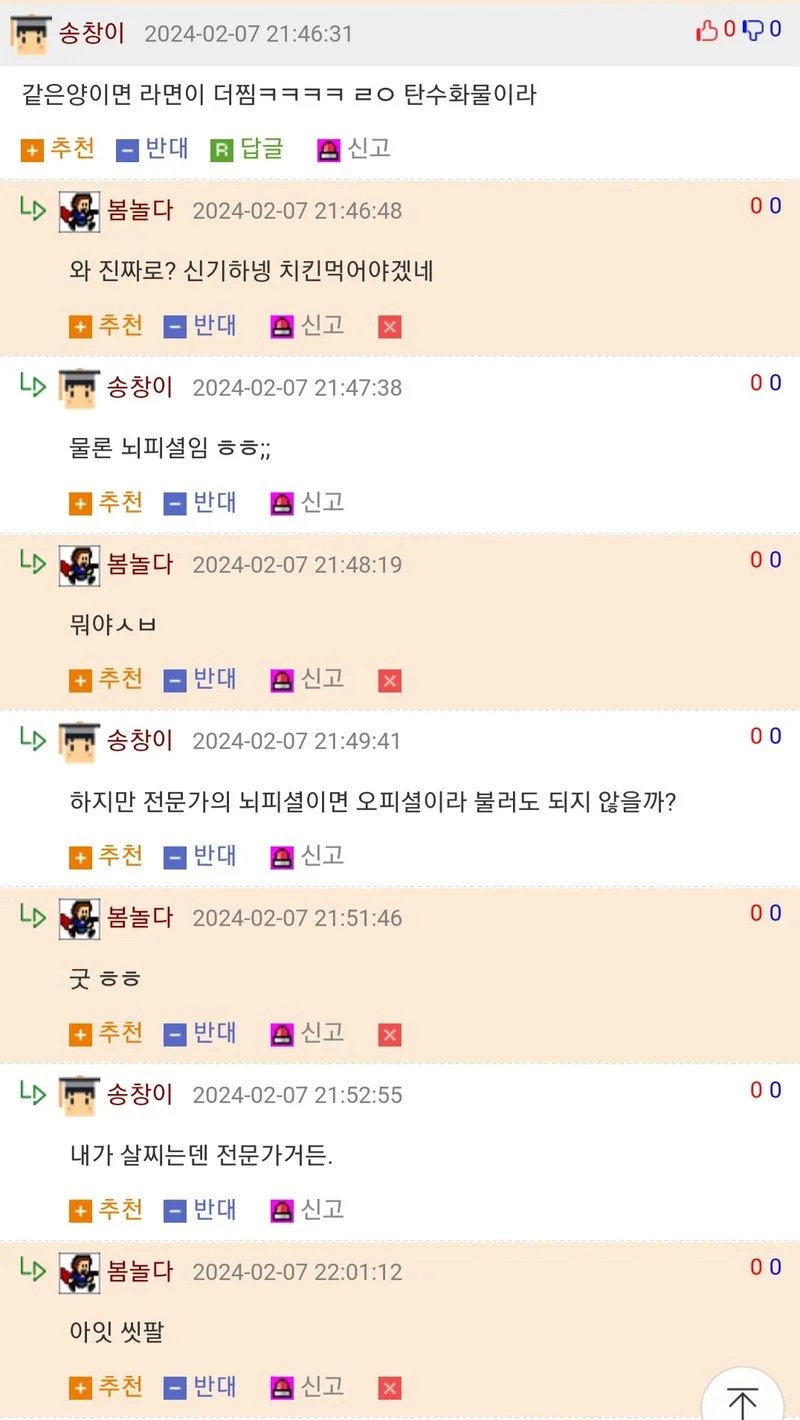 어느 전문가의 댓글 