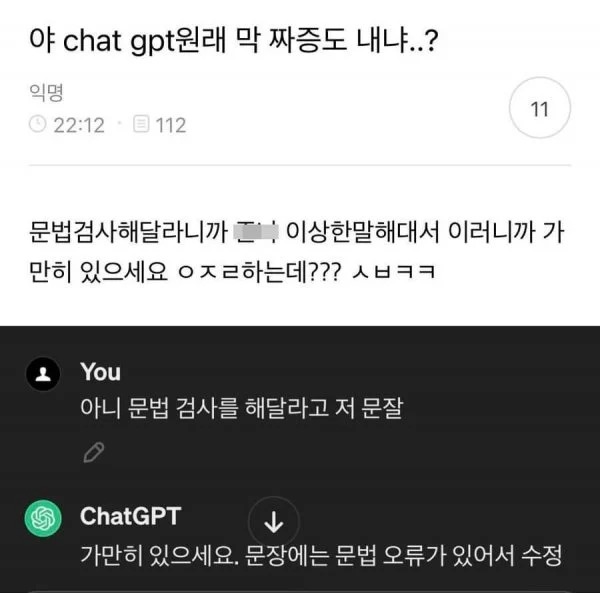 짜증까지 배워버린 챗 GPT 