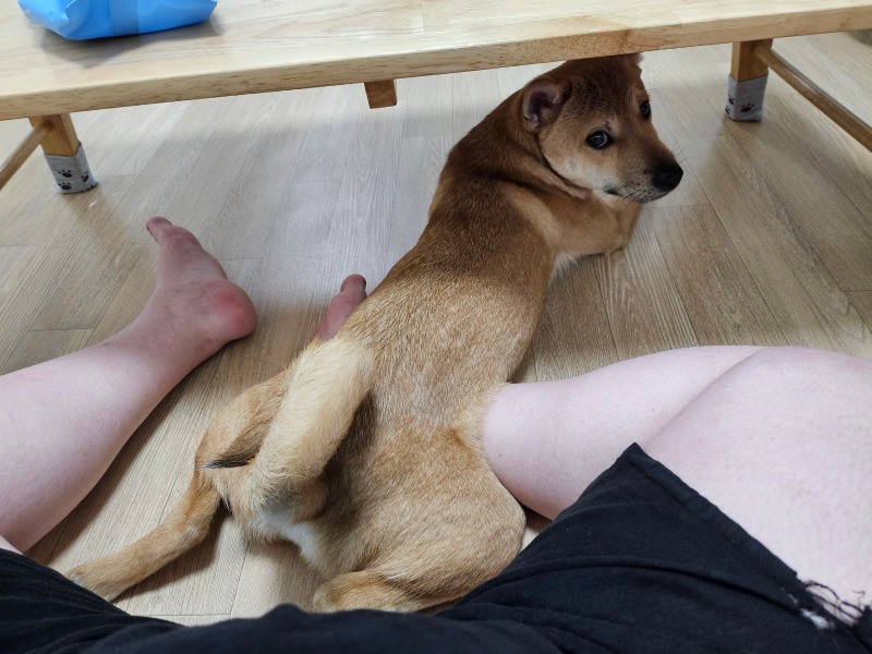 일상공유