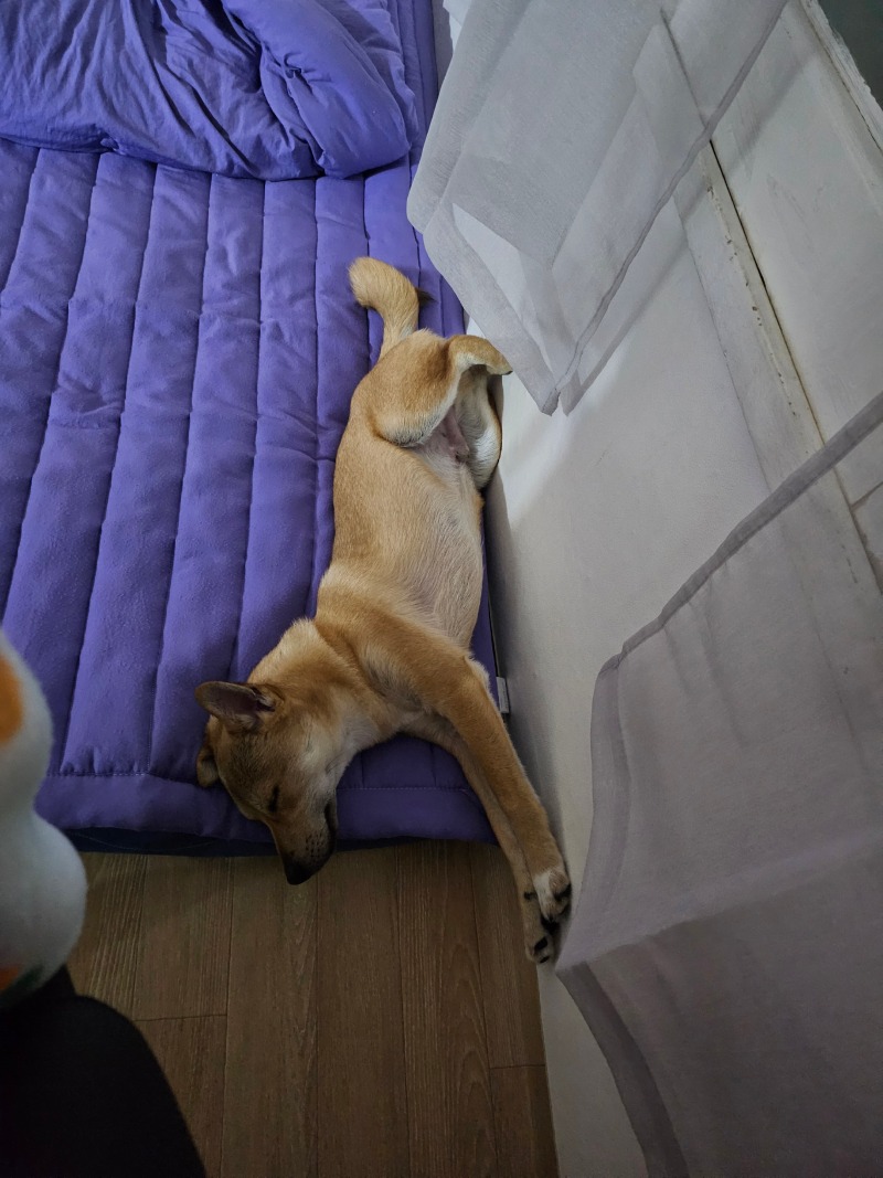 일상공유9