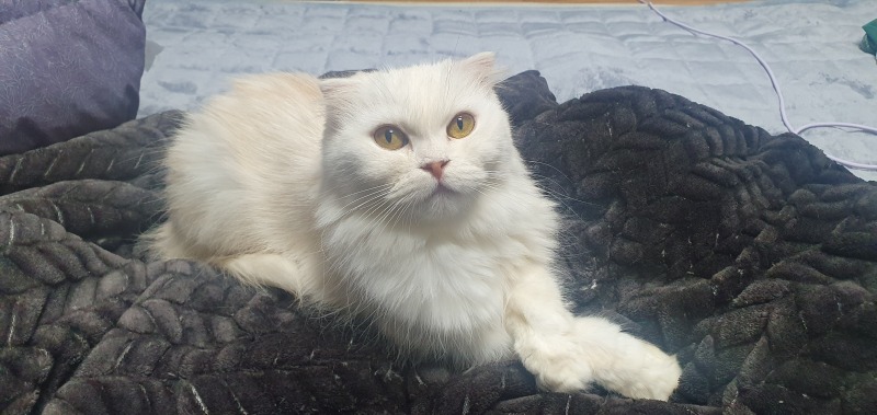 안냥~! 츄츄에오