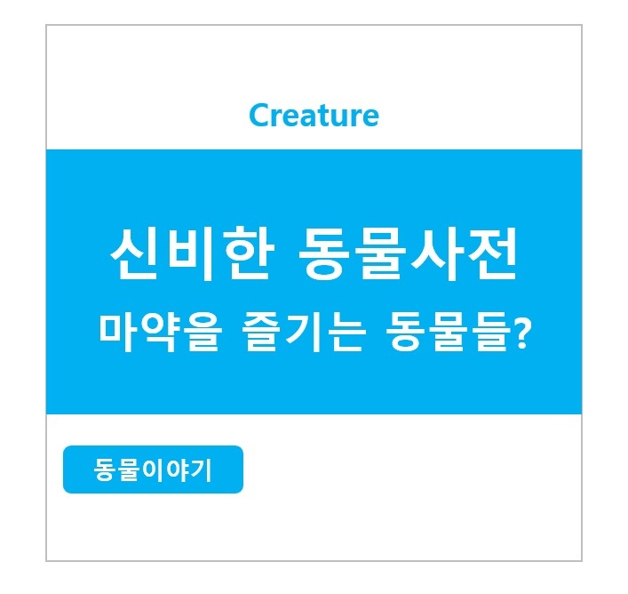 신비한 동물사전 - 마약을 즐기는 동물들?