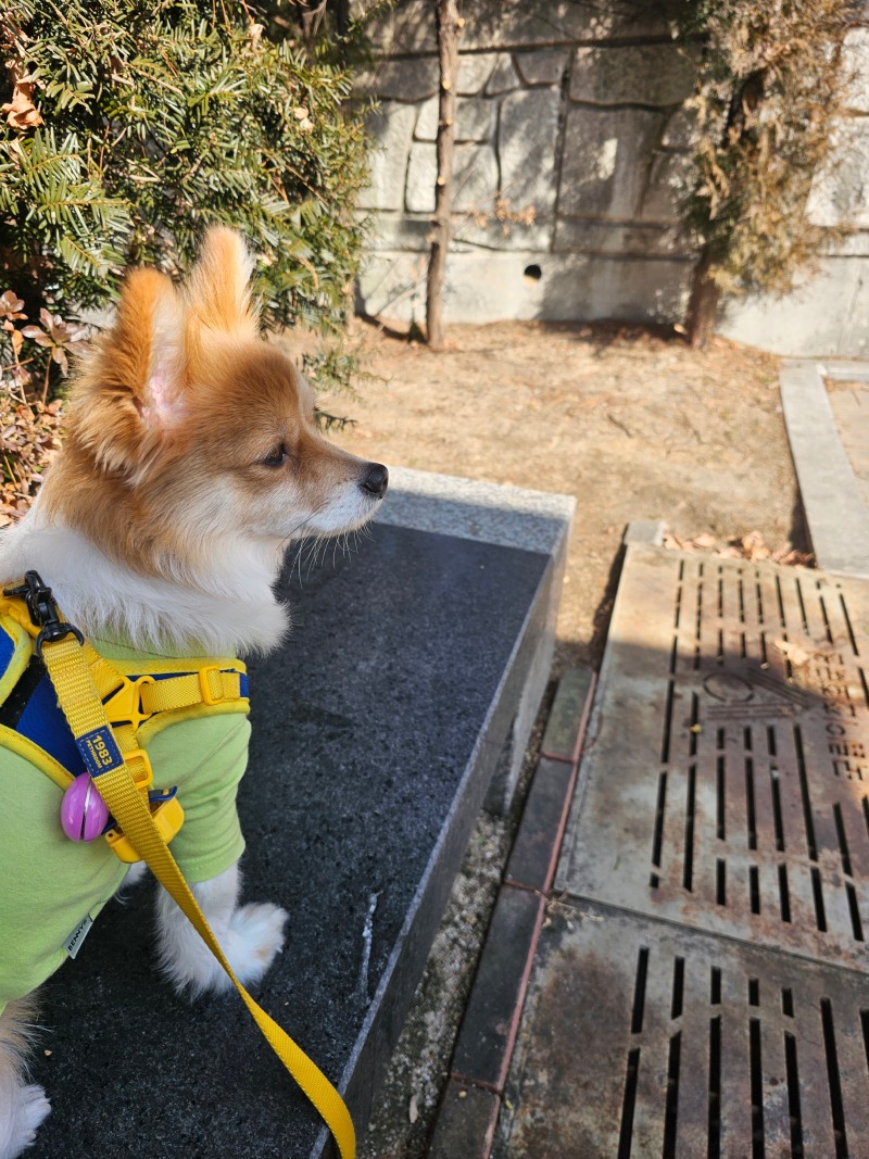여행