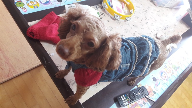치마입어봤어요..