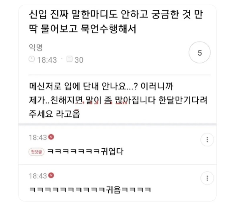 어느 흔한 신입의 예열