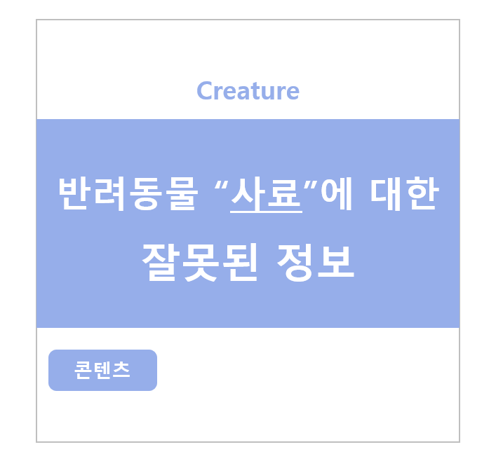 반려동물 사료에 대한 잘못된 정보! 