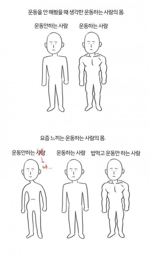 요즘 느끼는 운동하는 사람의 몸