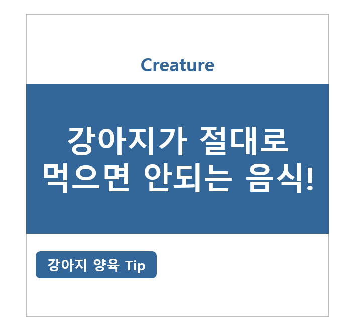 강아지가 절대로 먹으면 안되는 음식 