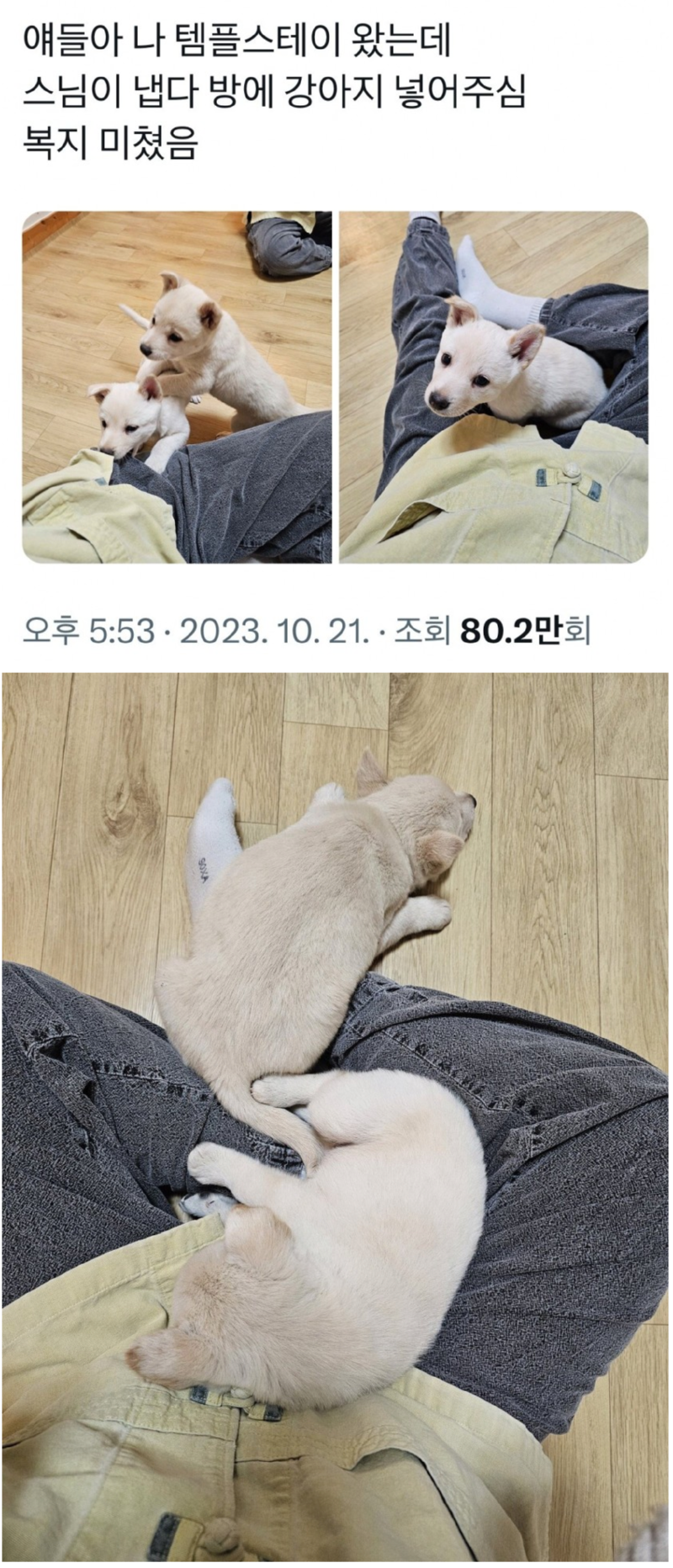 템플스테이 복지 수준