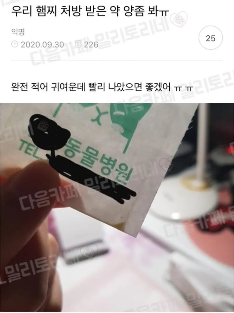 햄스터가 처방 받은 약