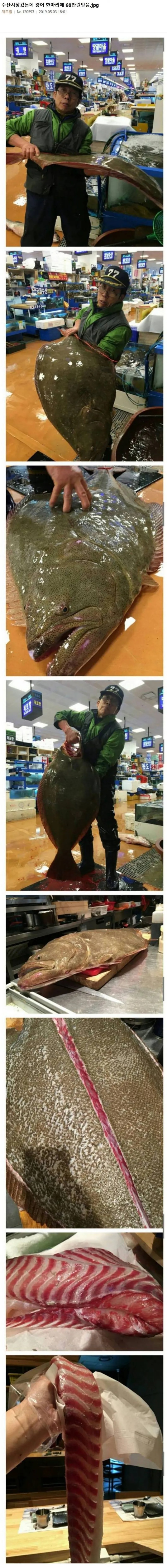 광어 한마리에 68만원??