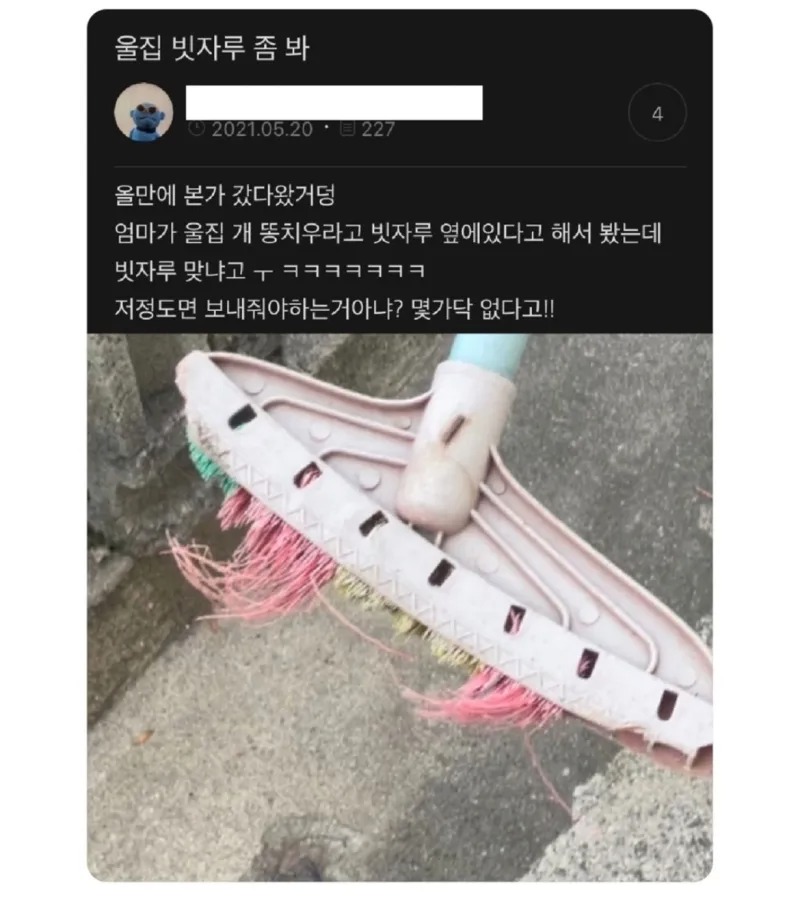 우리집 빗자루.jpeg
