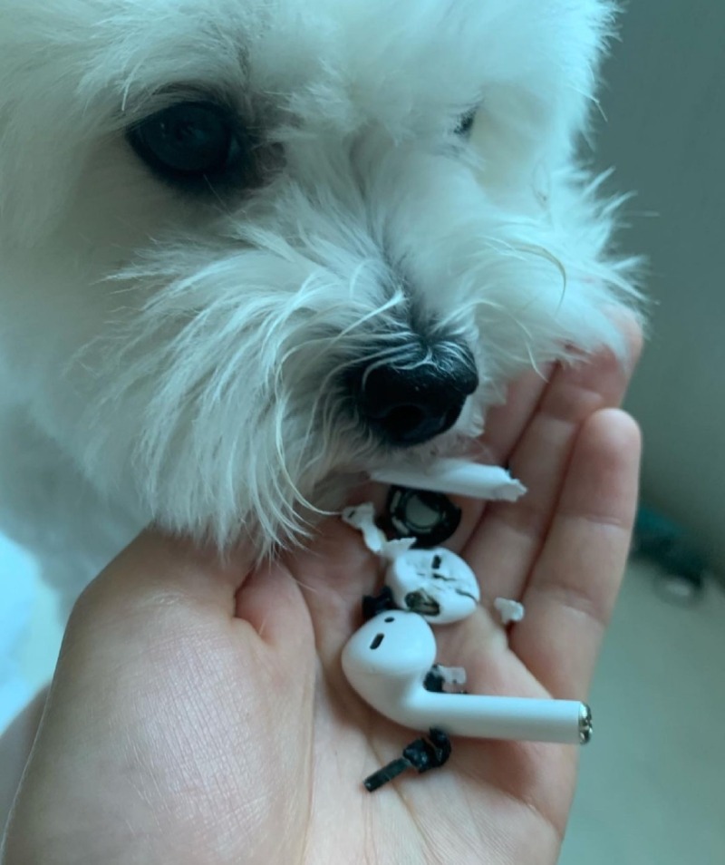 이런 대형 사고가...???>>>>?>???????!> 띠로리로리....