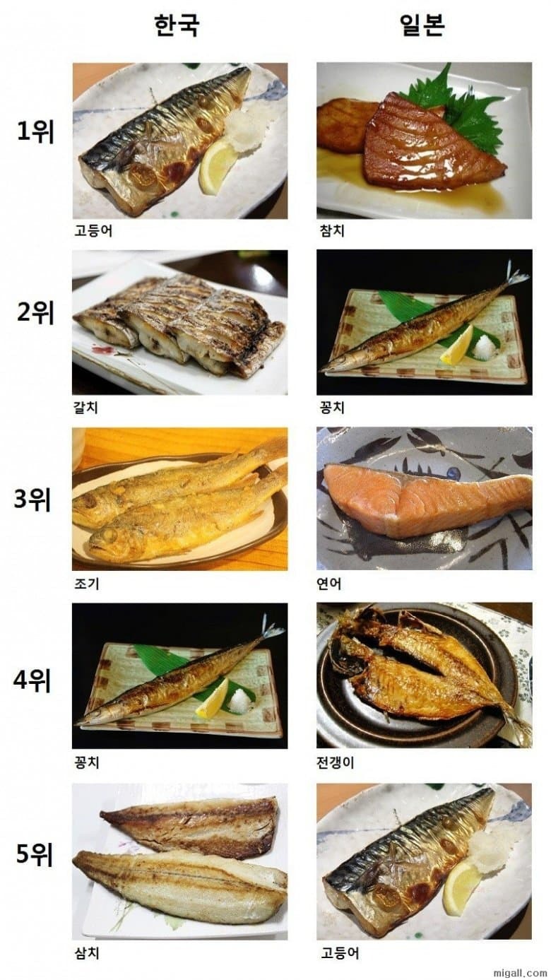 한국 일본 어종 별 생선구이 순위 비교