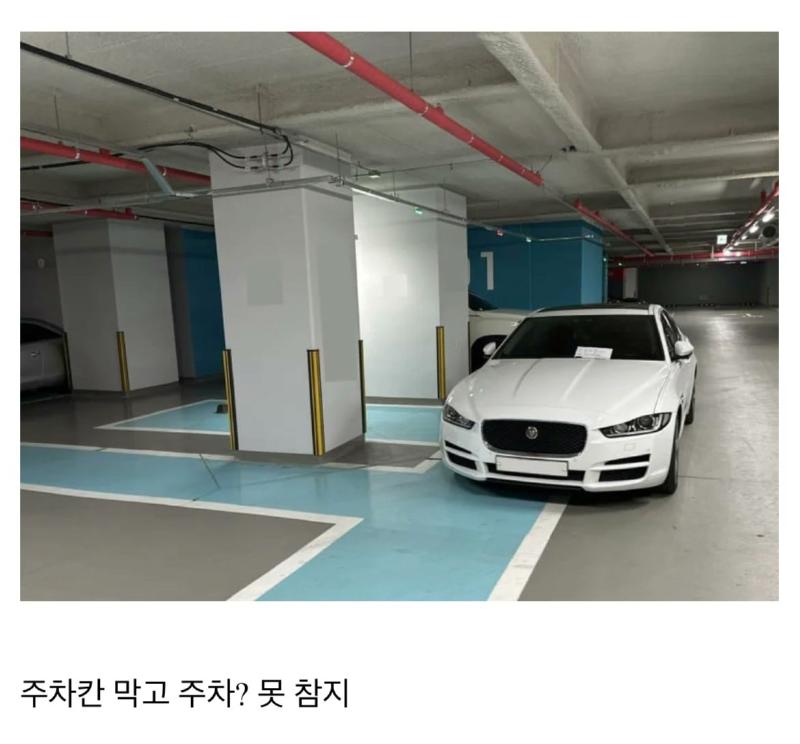 주차를 이상하게 해도 이해할 수 있는 차량 