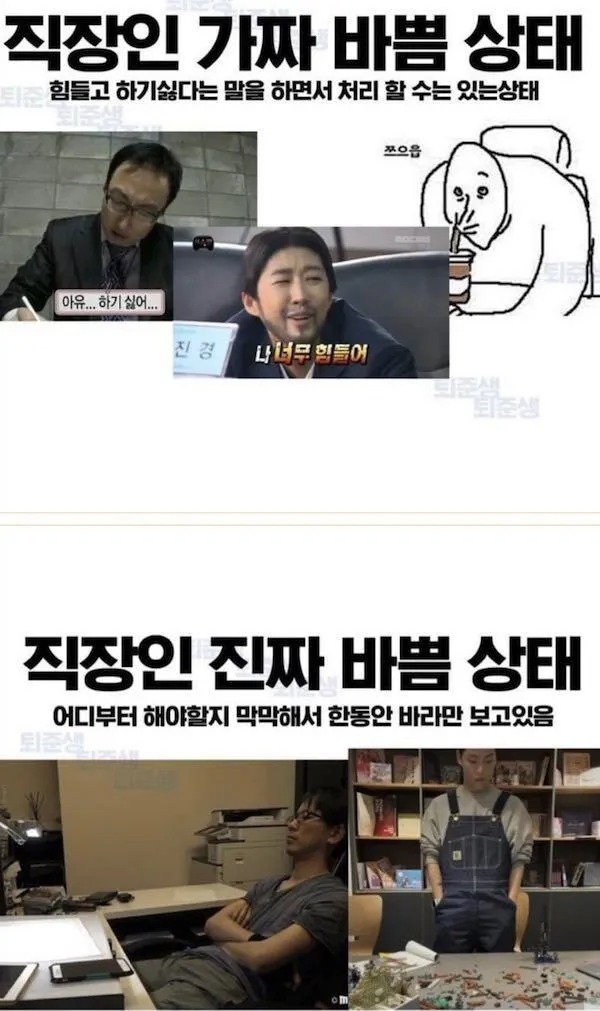 진짜 바쁨 VS 가짜 바쁨