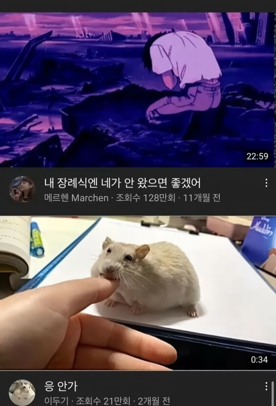 내 장례직장엔 네가 안왔으면 좋겠어.. 