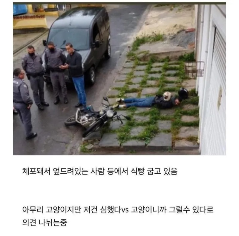 체포해서 엎드려 있는 사람 등에 있는...