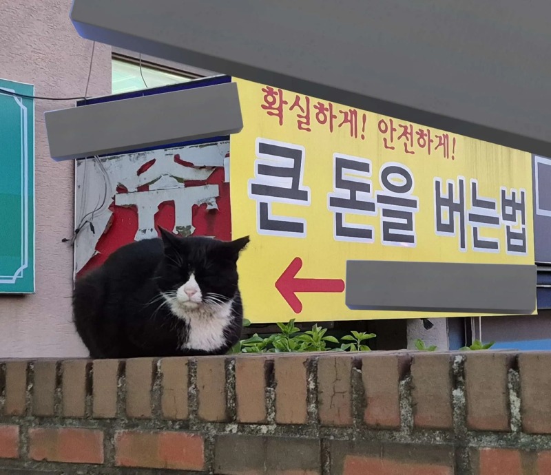 큰 돈을 버는 방법! 