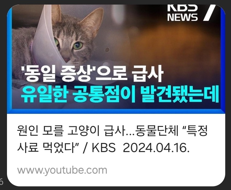 고양이 키우는 집사님들 비상 