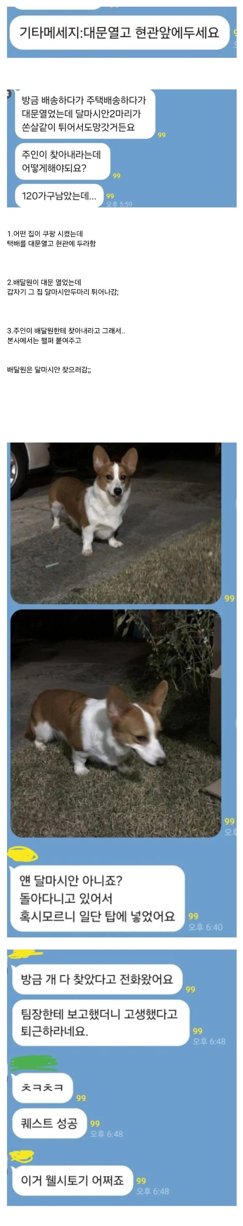 쿠팡맨 강아지 탈주 대참사 