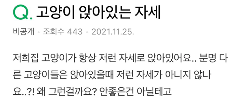 고양이가 항상 앉아있는 자세 