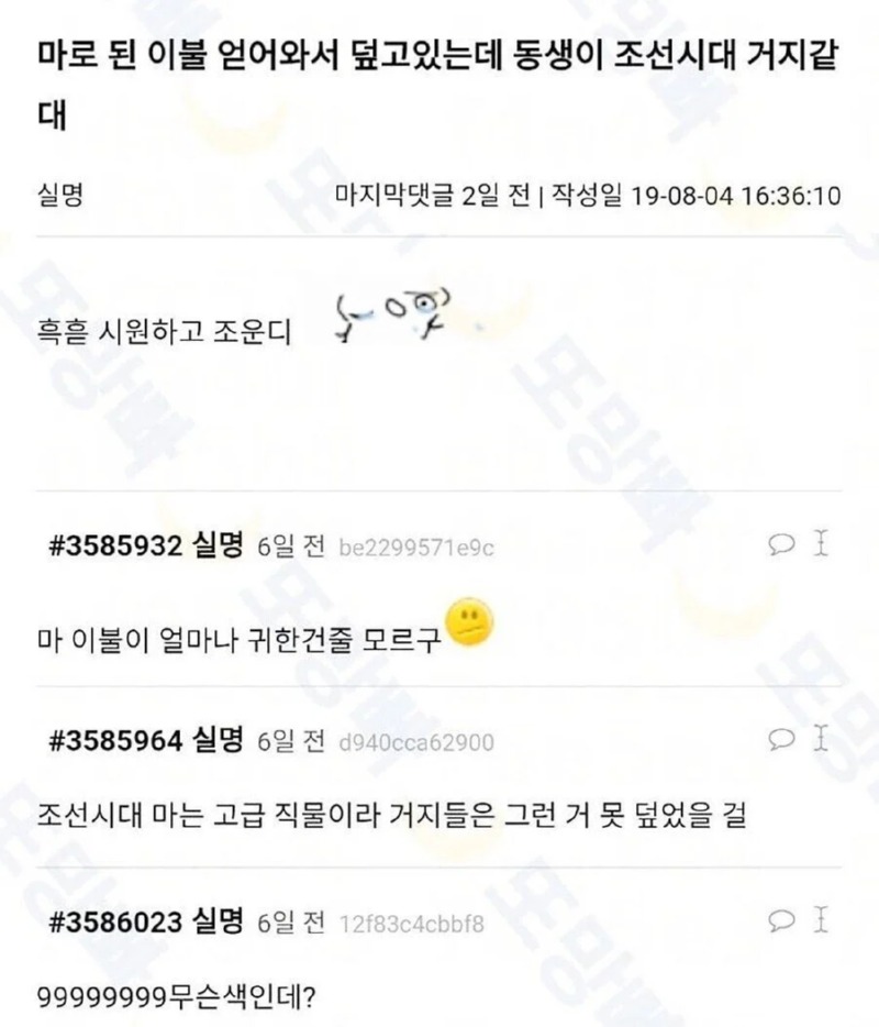 동생이 구해온 여름용 이불 
