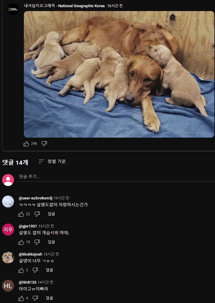 내셔널지오그래픽 채널 근황 