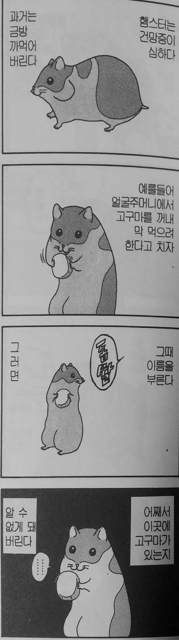 햄스터는 건망증이 심하다 