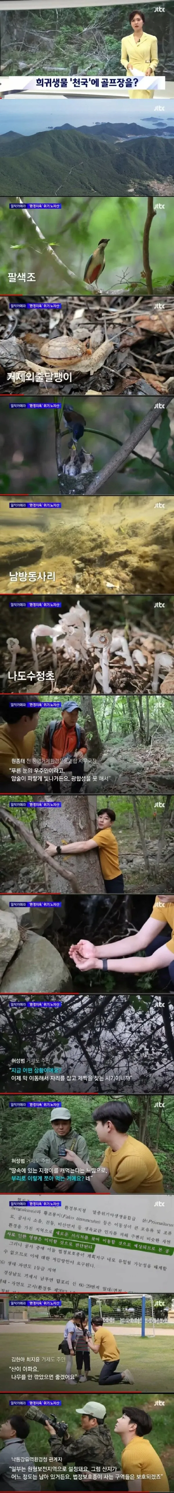 희귀생물 천국을 밀어버리고 지으려 했던 것.jpg