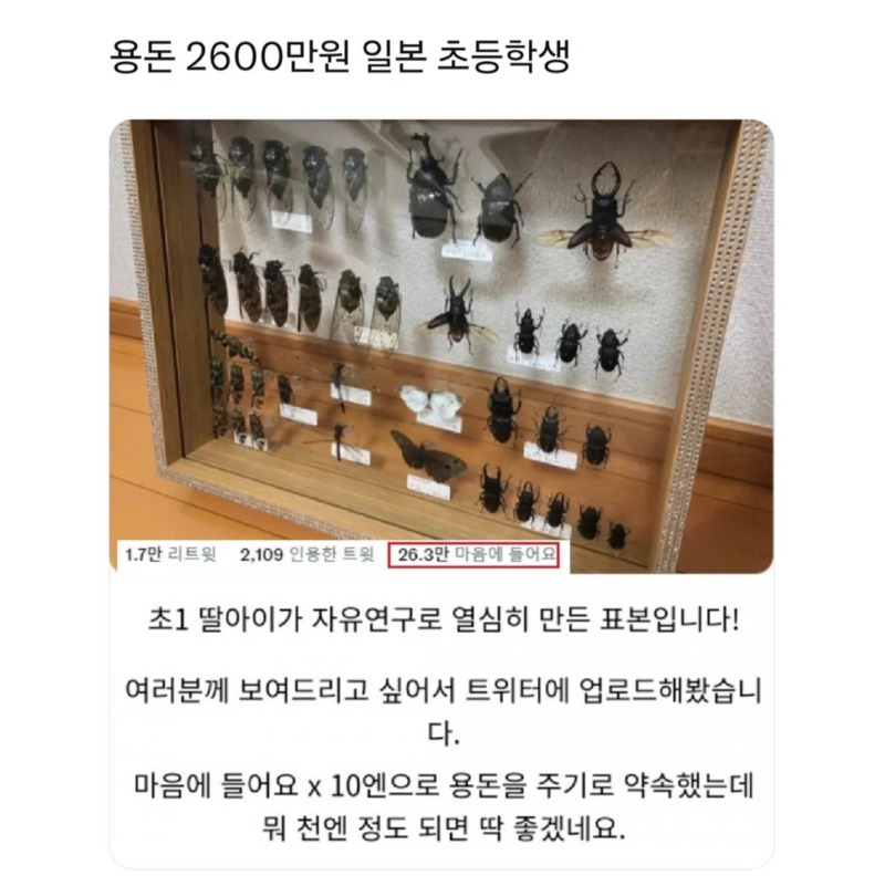 용돈이 2600만원인 일본 초등학생