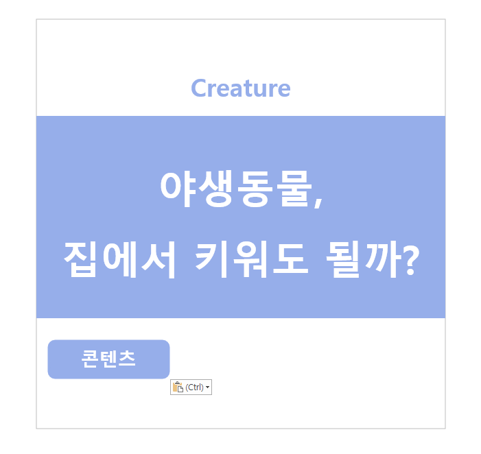 야생동물, 집에서 키워도 될까?? 