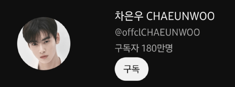 100만 유튜버 되기 vs 차은우 되기 vs 부자 되기 