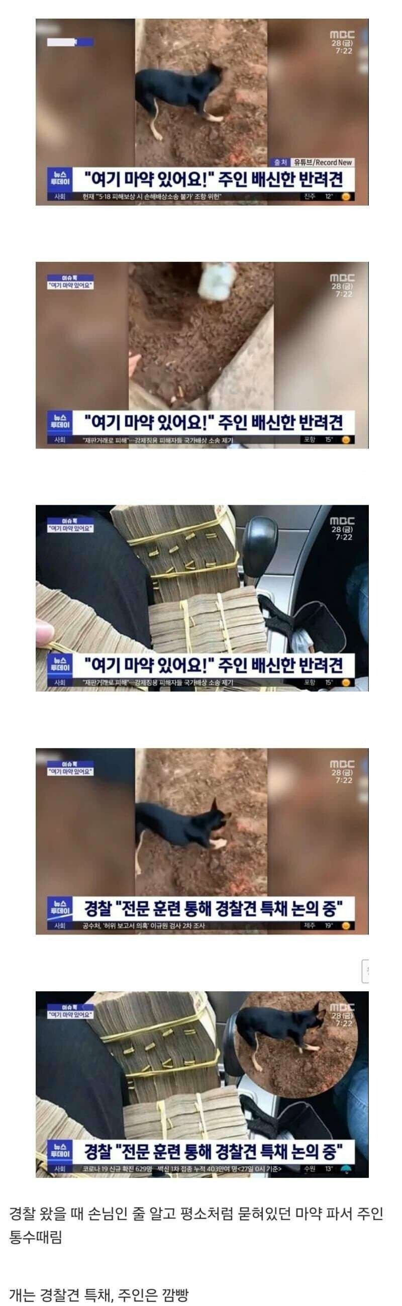 여기 마약있어요!!! 