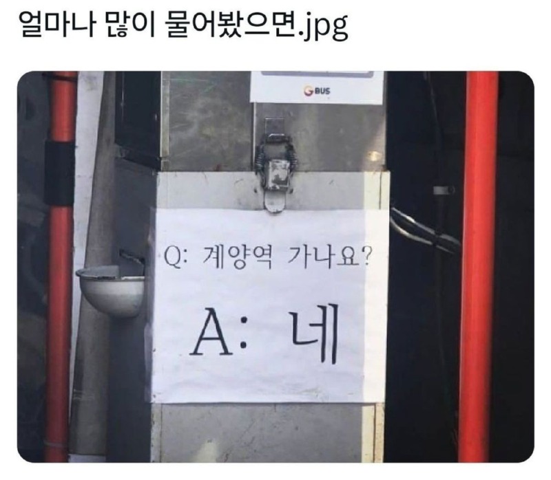 얼마나 많이 물어봤으면..