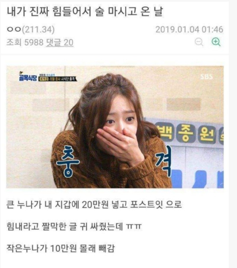 큰 누나와 작은 누나의 차이점