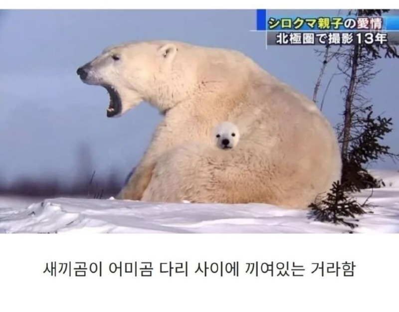 합성같지만 합성이 아닌 사진