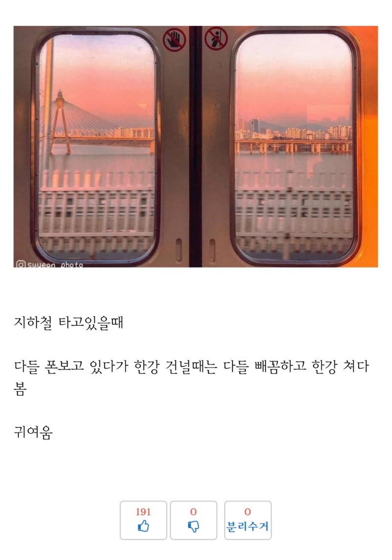 사실 서울 사람들도 한강 좋아함