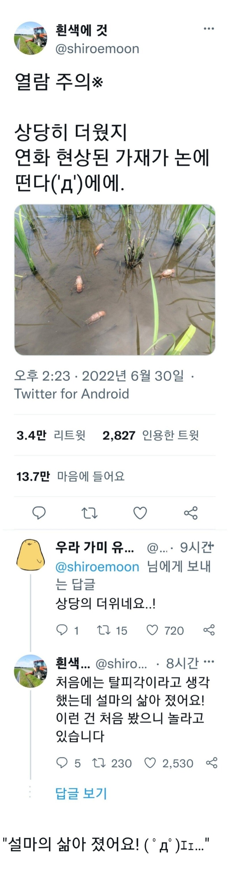 일본의 불볕더위 상황 