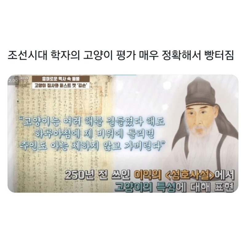 조선시대에도 정확했던 고양이에 대한 평가 