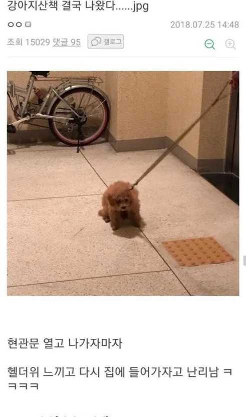 7월 산책의 어려움 
