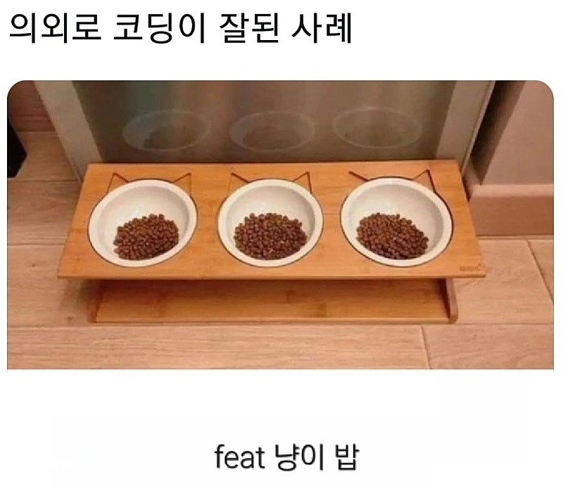 의외로 코딩이 잘 된 경우